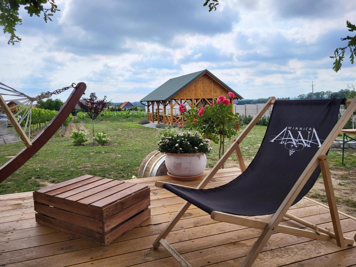 Winnica Anna Noclegi Krosnice Exterior foto